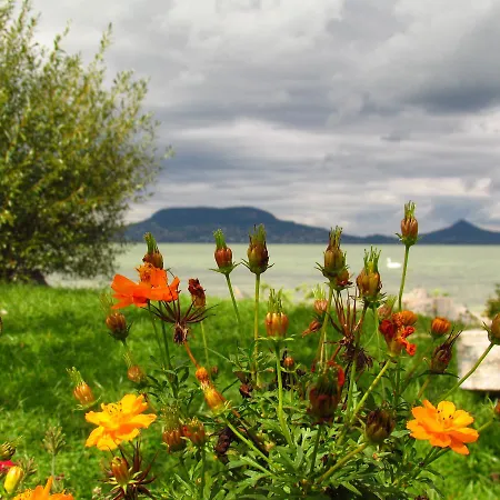 Balaton * Шиофок