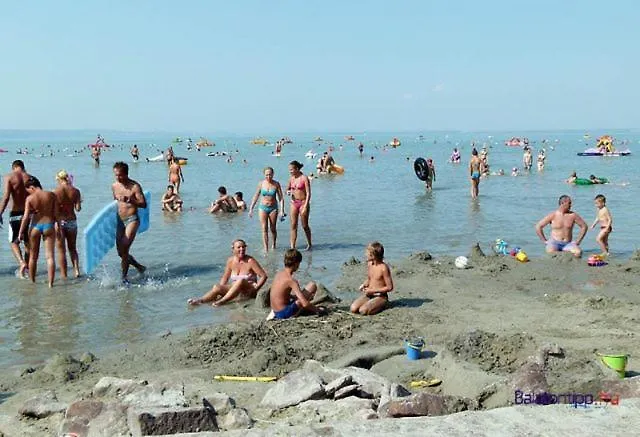 Balaton *